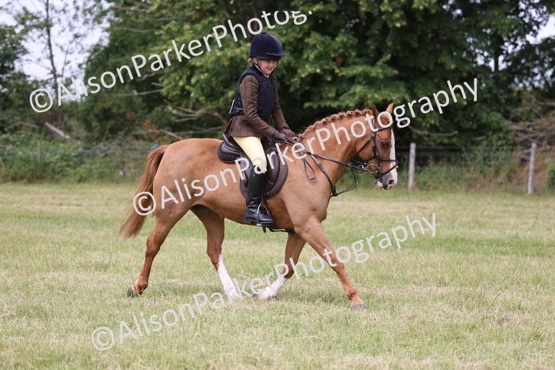 20260614-2908 - Class 22 - Open Working Hunter