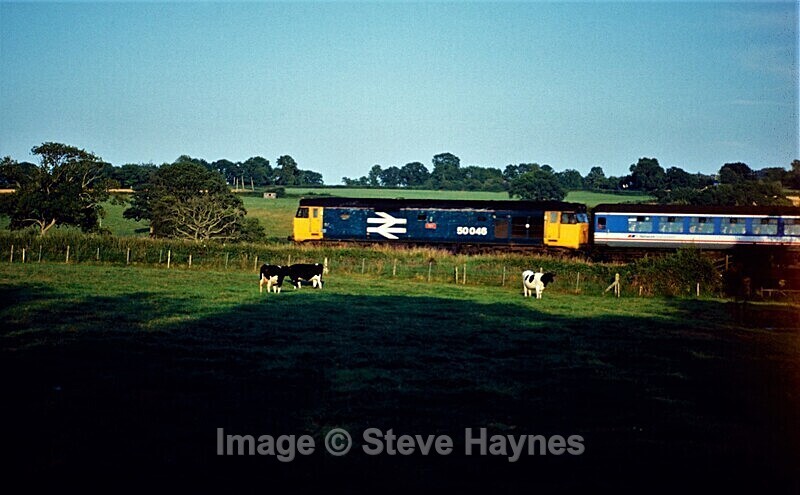 18th August 1991 - Axminster, Devon