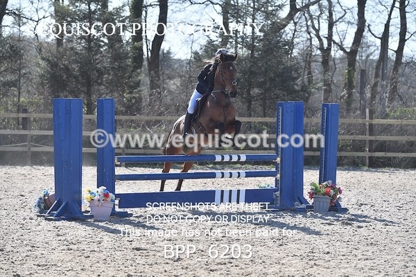 BPP_6203 - CLASS 8 SAT Pony BritiNovice / 0.80m Open