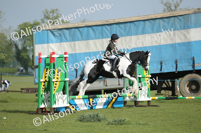 20260426-0016 - Class 13 - Rookie Jumping 50cm