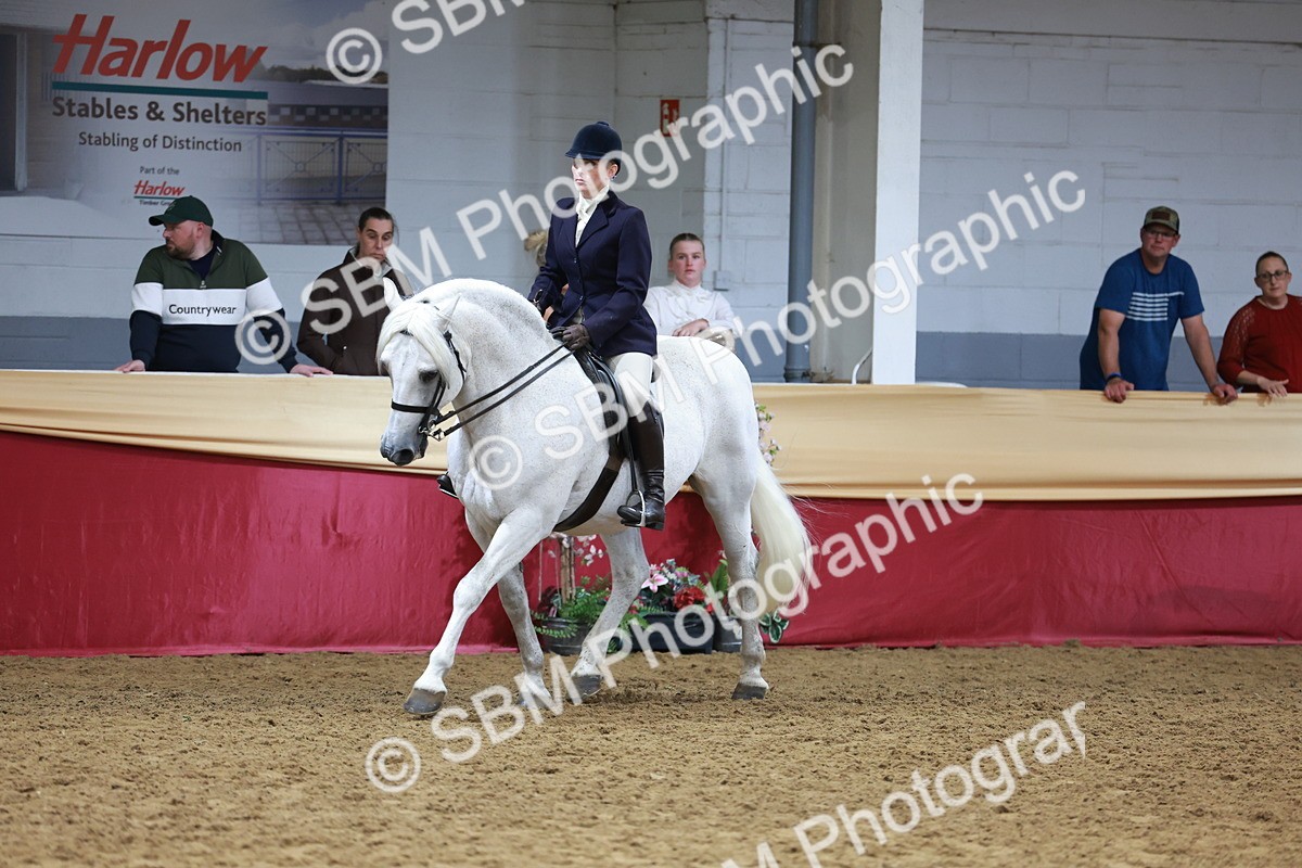 SBM_18649 - Class 952 - M&M Ridden Supreme Final