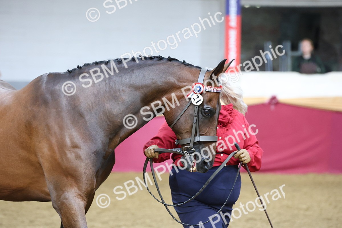 SBM_22520 - Class 902 - Supreme Final - IH Diamond