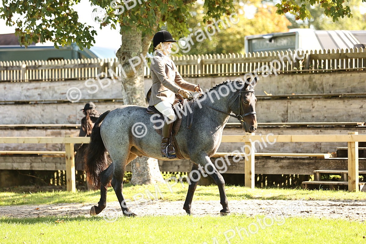 SBM_16998 - S2 - TSR Ridden Pony Showing