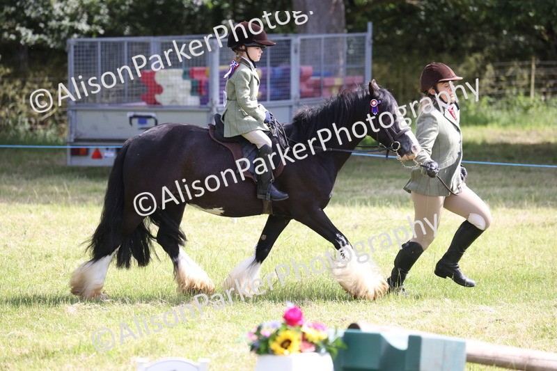 20260614-0636 - Class 20 - Beginners Working Hunter Pony