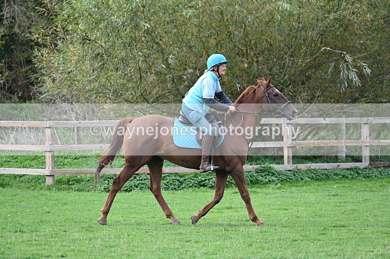 WJ7_0801 - Time 14:27 to 15:11