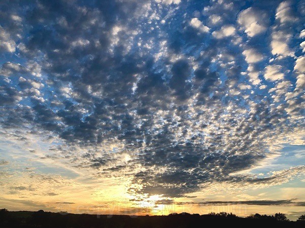 Mottled Sky - LANDSCAPES & TREES