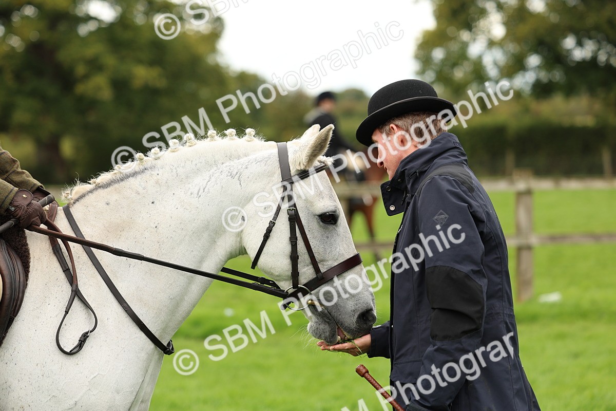 SBM_45347 - S33 - Working Hunter Pony