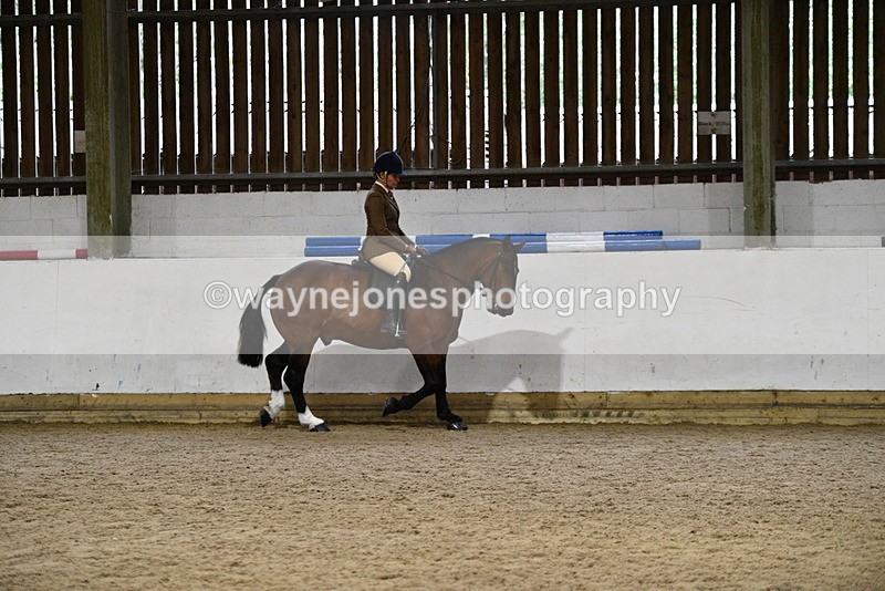 WJ5_8455 - Class 14 Novice Ridden/Rider