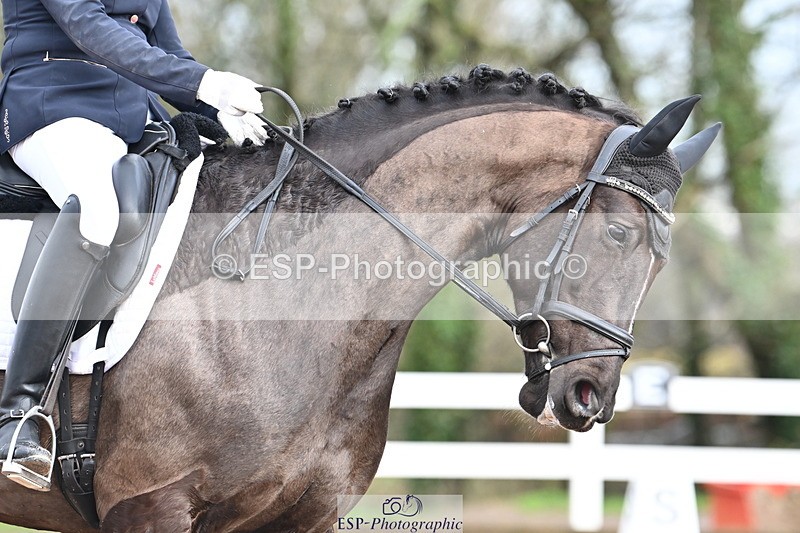 240218A-093526-04787 - 102-Caroline.Squire-Viva.Venezuela