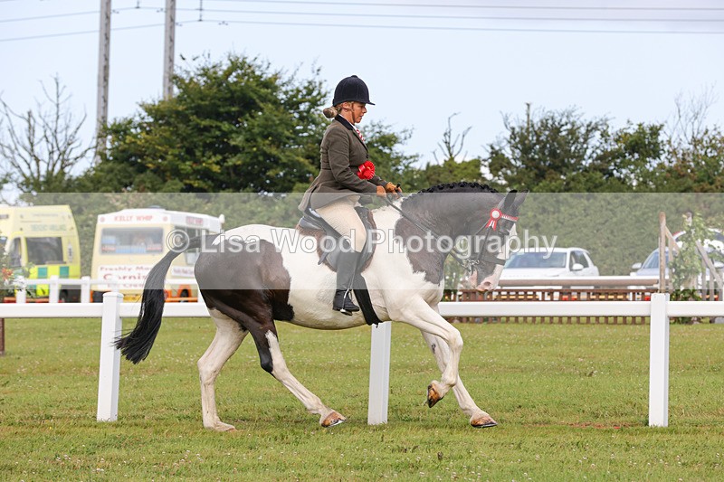 1X9A3092 - Class 26: Ridden Plaited Coloured Pony