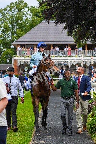 170623-Race 3-Quickthorn-0487 - Race 3 3.05pm Sky Bet Race To The Ebor Grand Cup Stakes