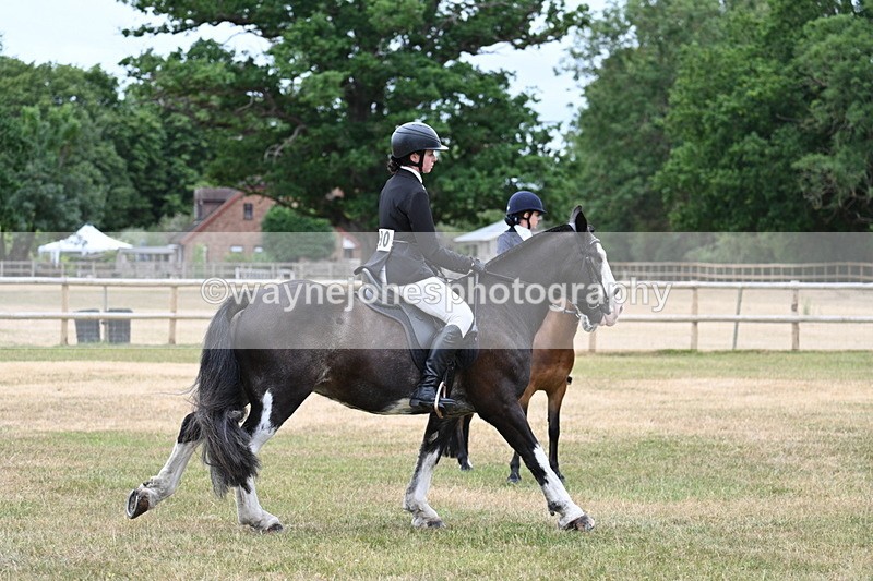 WJ7_0334 - Class 2 Best rider