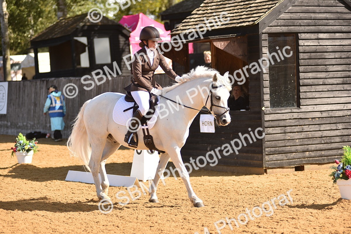 SBM_03006 - D4 - Small Tour Championship Intro 4