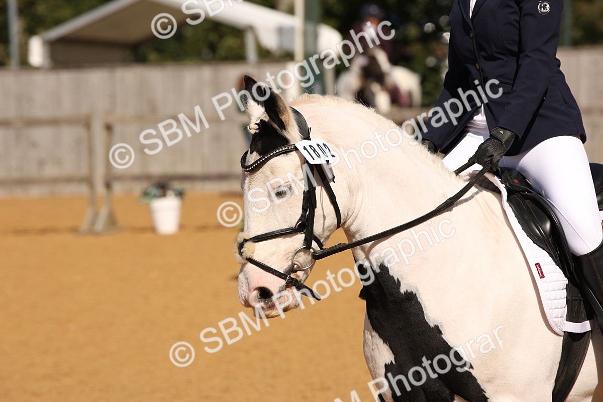 SBM_21646 - D5 - Small Tour Championship - Intro C