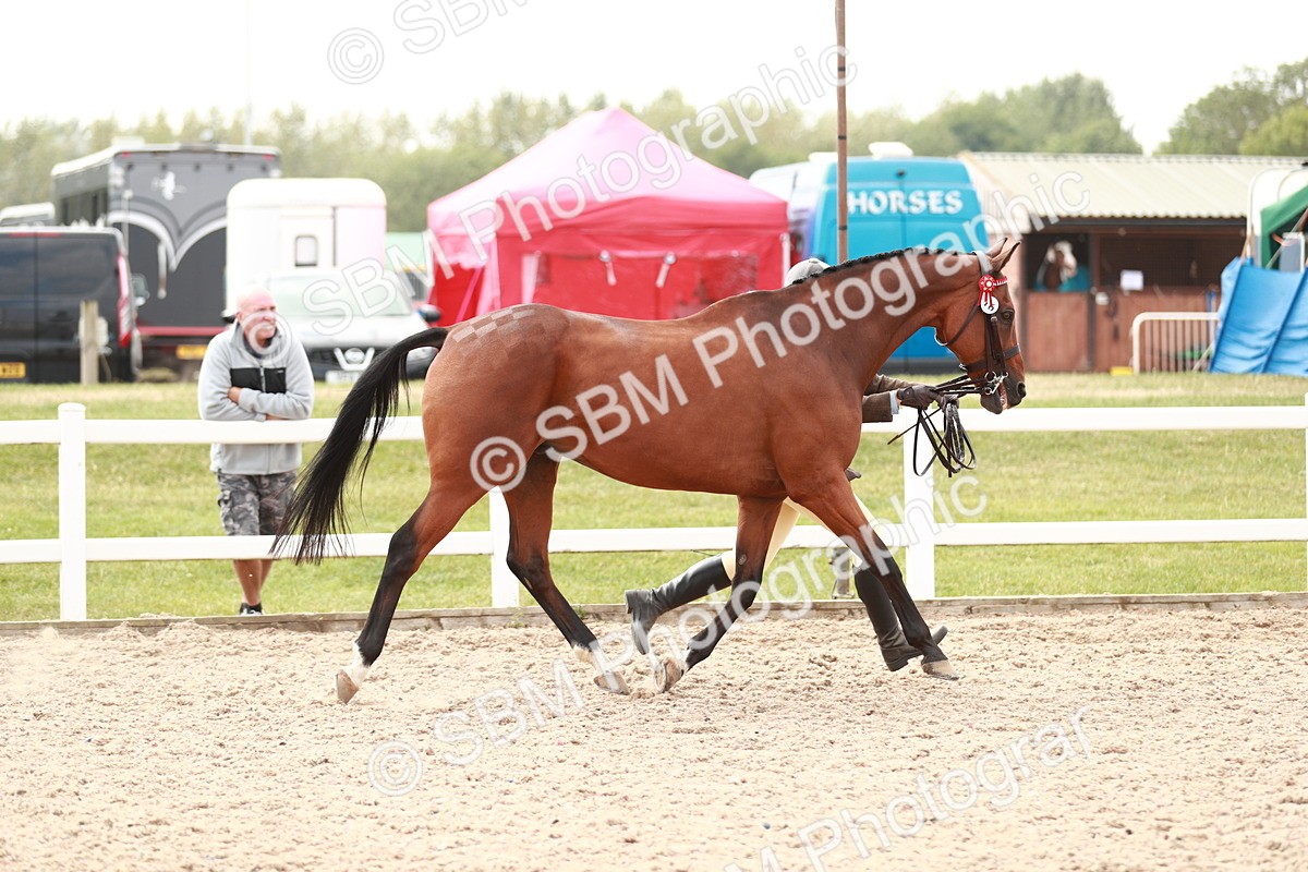 SBM_13196 - Class 208 IH Veteran Horse