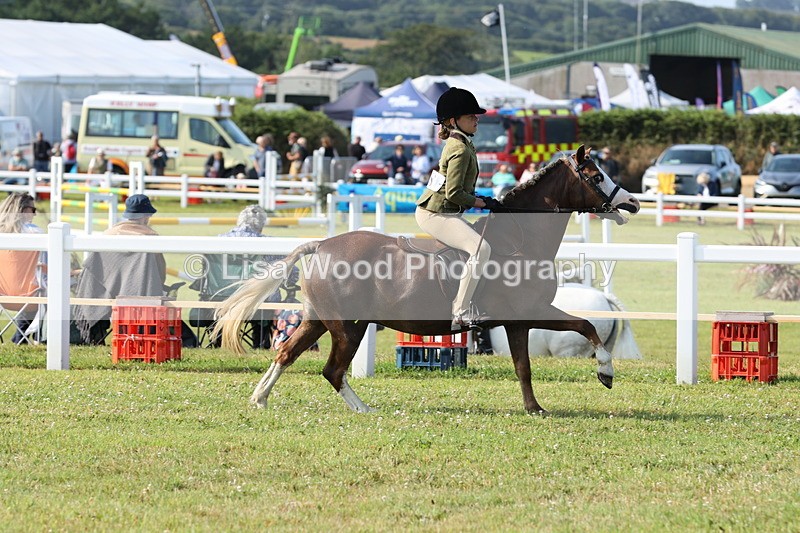 JPP_0569 - Class 15: Cornish Combination First Ridden