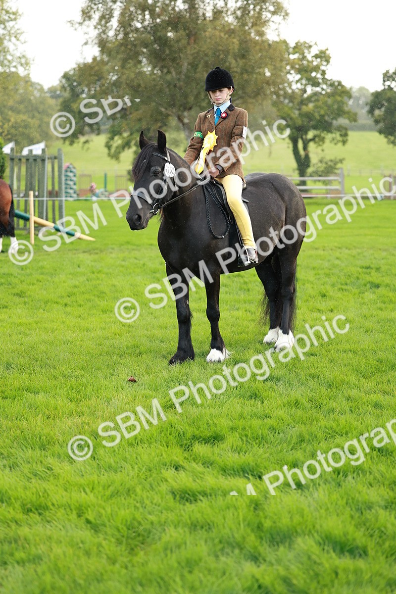 SBM_28901 - S7 - Novice & Newcomer Ridden Pony