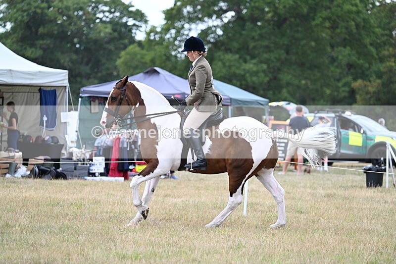 WJ7_5194 - Class 12 Ridden Cob