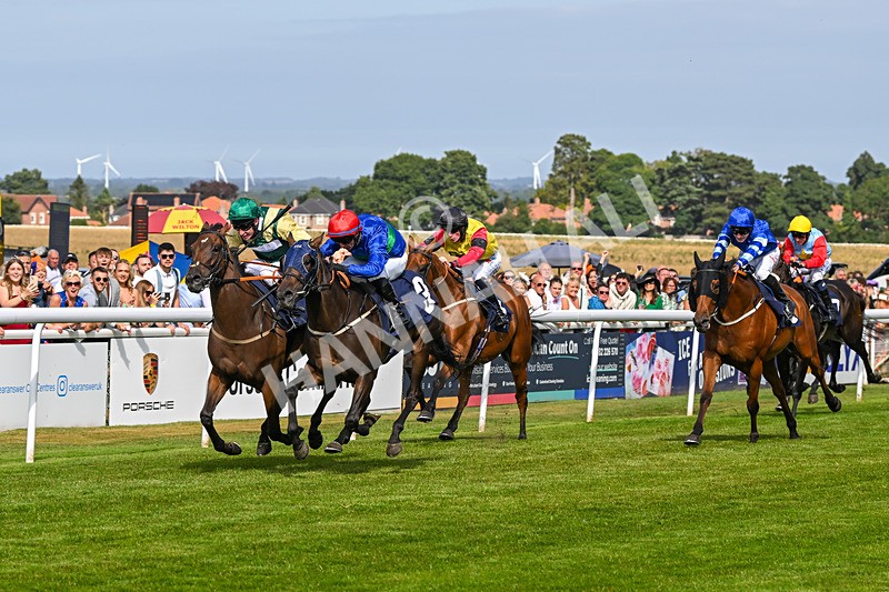 140824-Race 4-Queens Road Revue-6473 - Race 4