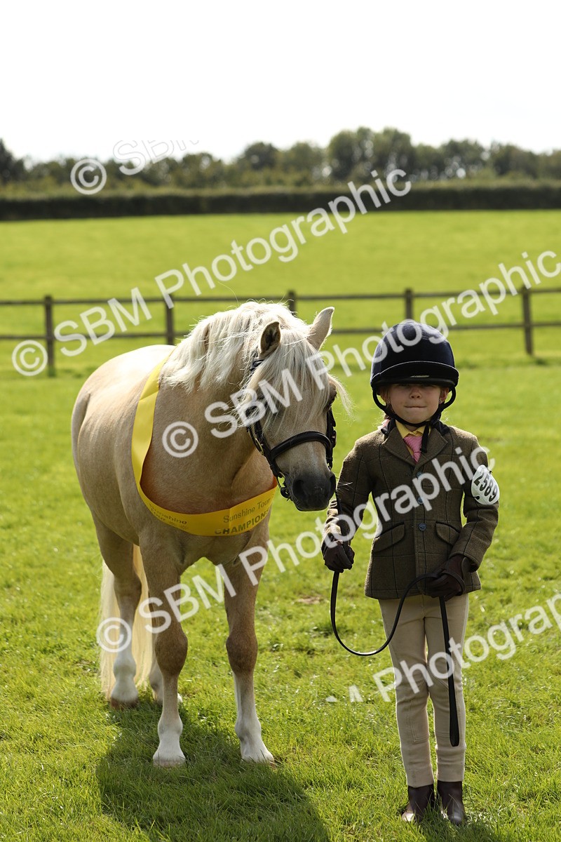 SBM_66322 - In Hand Pony & Youngstock Supreme Championship