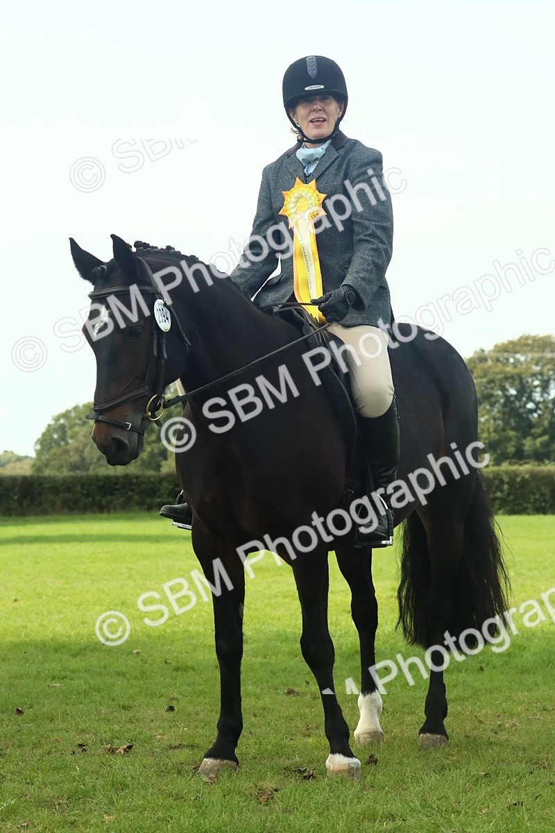 SBM_66795 - S34 - Rehabilitated Rescue Horse & Pony In Hand & Ridden