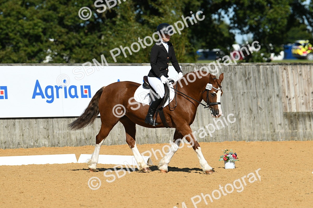 SBM_18033 - D4 - Small Tour Championship - Intro B
