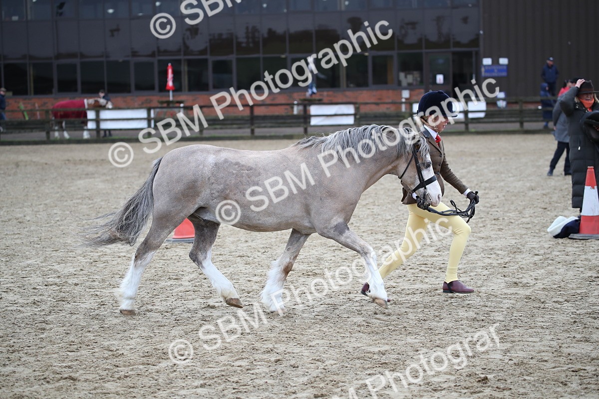 SBM_005975 - Class 10-13 - RIHS Small Large Breeds