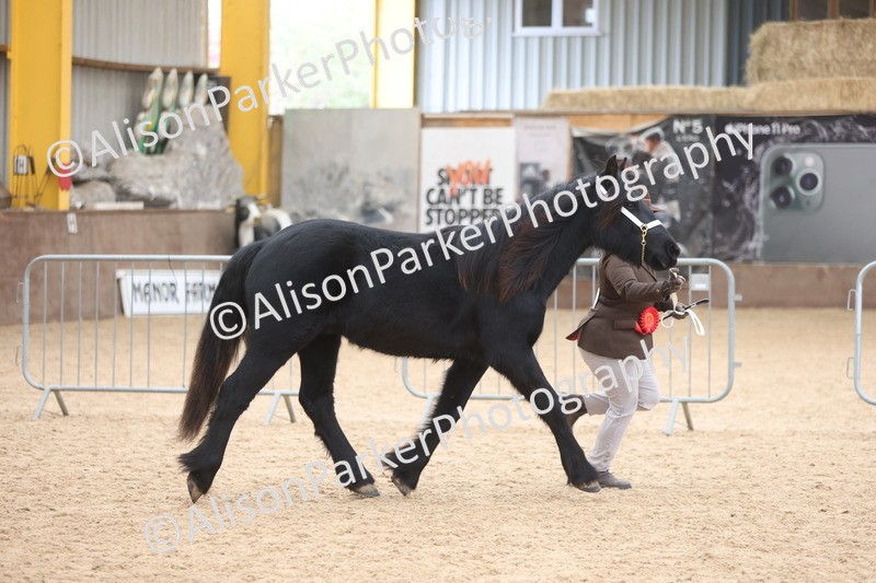 20251109-1159 - Championship