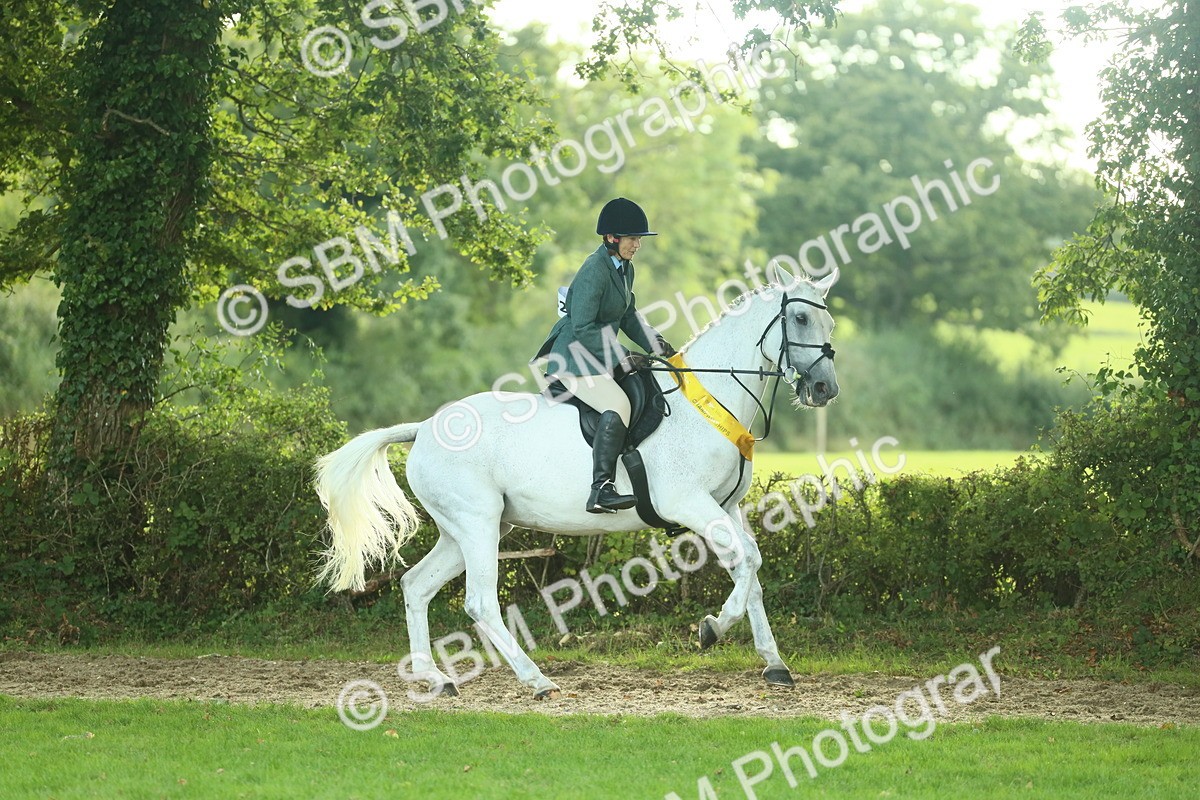 SBM_52255 - S33 - Working Hunter & Working Show Horse