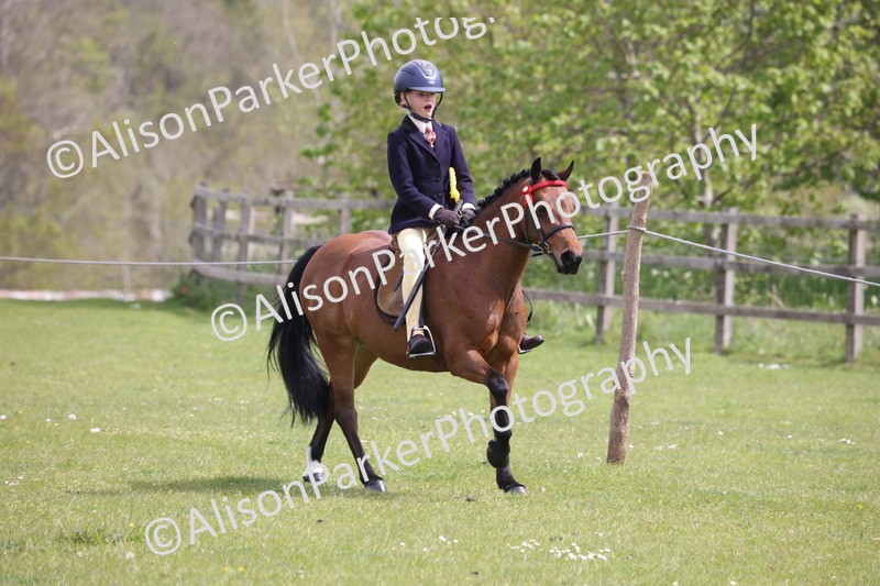 20260426-4052 - Class 33 - Best Pony 14.2hh and Under