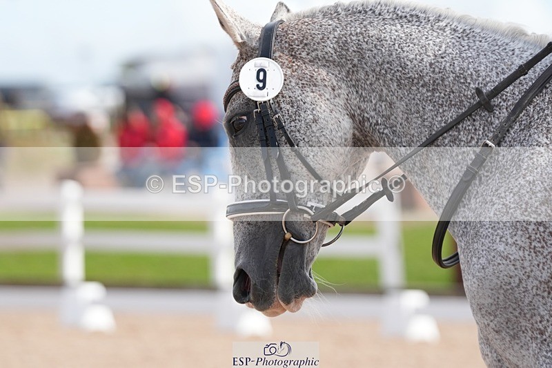 250906-114254-01650 - 009-Terri.EllawayTagula.Passion