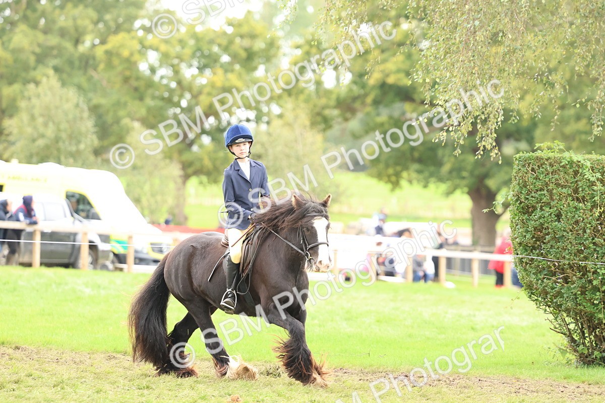 SBM_67549 - S60 - Mini Show Cob Ridden