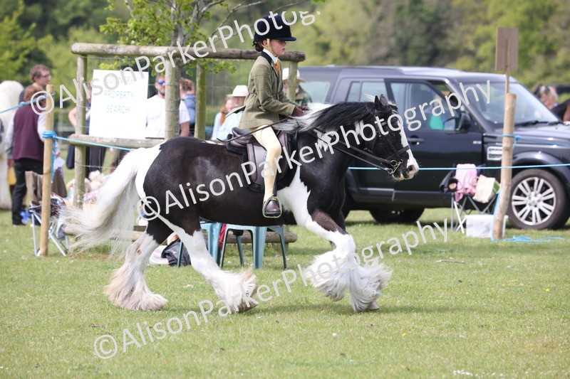 20260426-2956 - Class 33 - Best Pony 14.2hh and Under