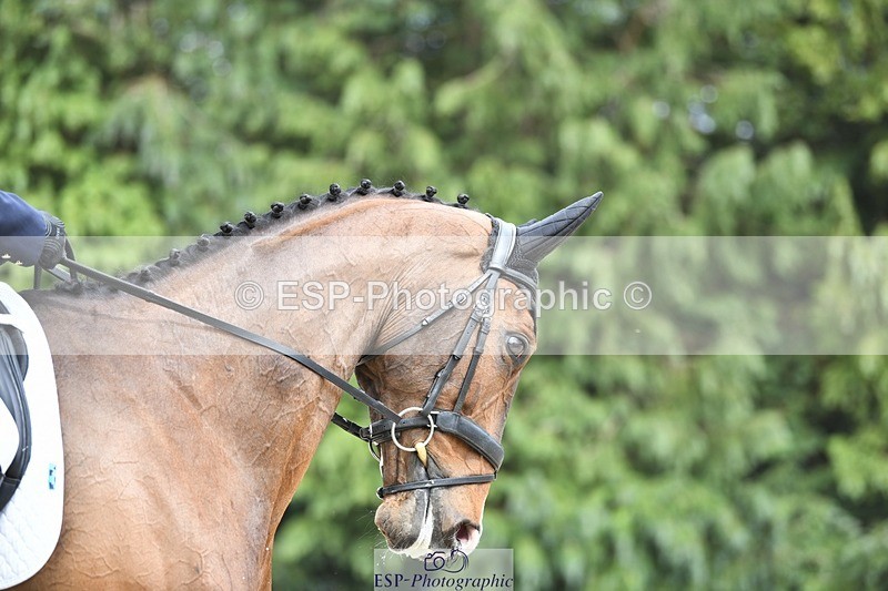 230525-150316-03186 - 324-DRUMGIVEN_MR_CHARISMA-Jeanette_Brakewell-WEDTrotUp+DR