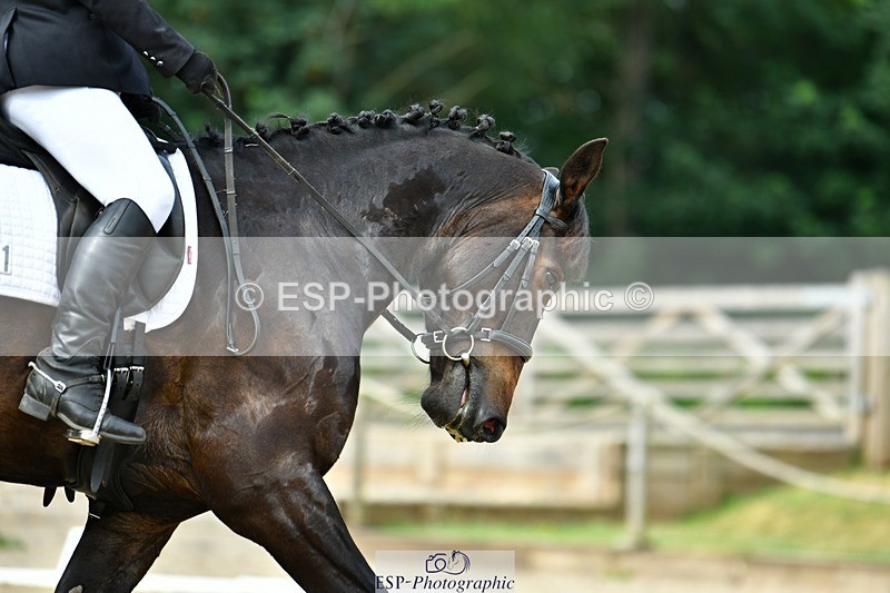 230623-092536-01820 - Cls 2 Prelim 19Q Start to 10.04 break