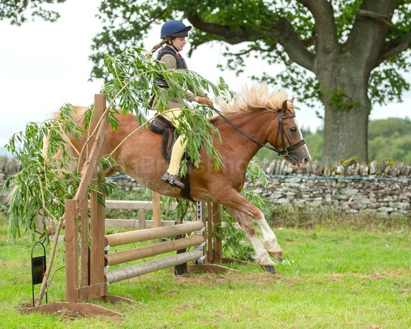 Dunblane show-165 - Dunblane and Doune Show Ring 1