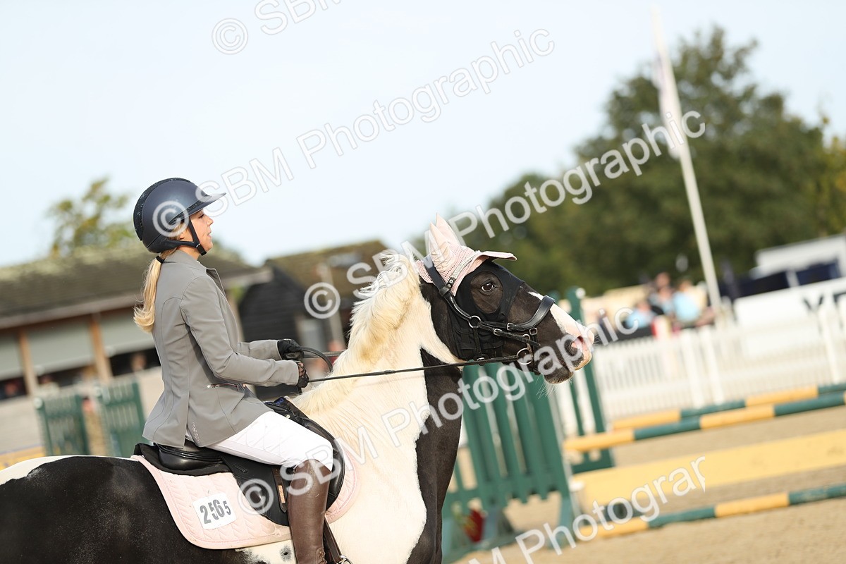 SBM_56005 - J24 - Junior Horse 75cm Championship