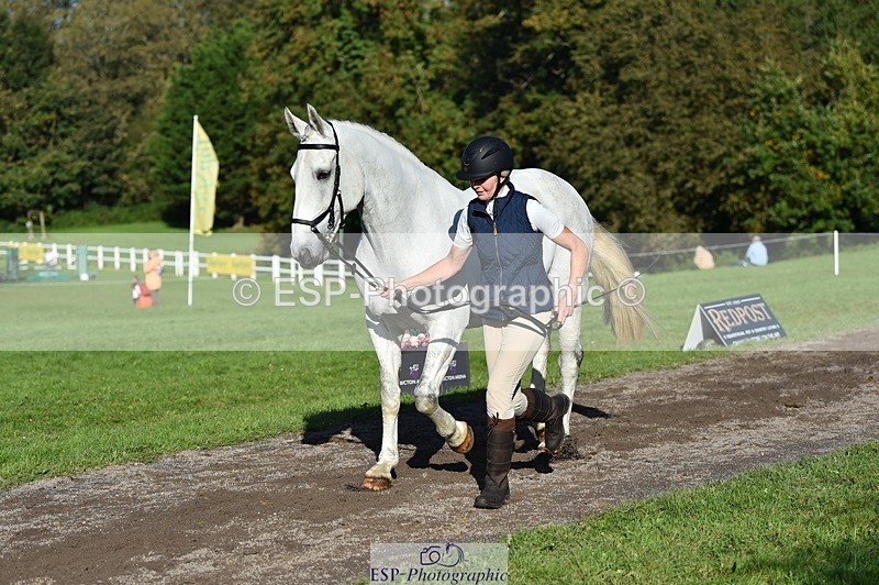 231022-110238-23681 - 509-WOODLANDS.SILVER.CLOUD-Karen.Cowling-TrotUp+SJ