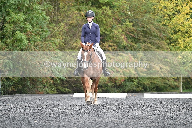 WJ7_3329 - Time 09:54 to 10:54