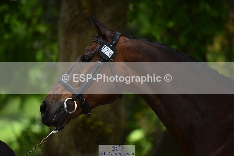 240522-153558-00465 - 379-TREBIFFIN-Neil_Fox