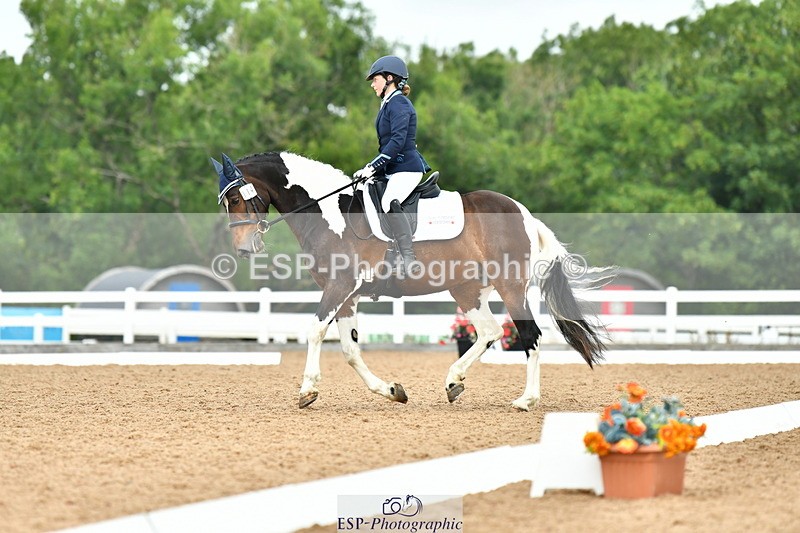 230701A-131110-06232 - Cls 8 Elementary 57