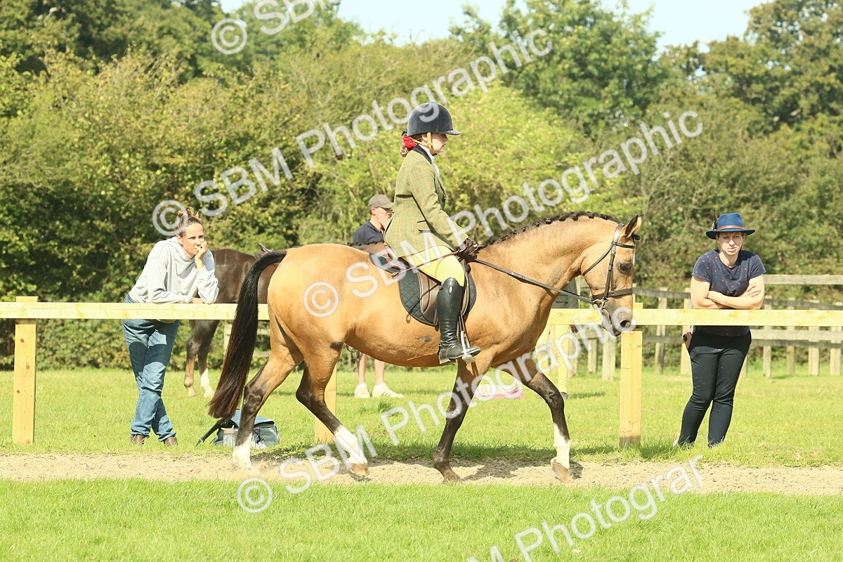 SBM_67404 - S56 - Coloured Pony Ridden