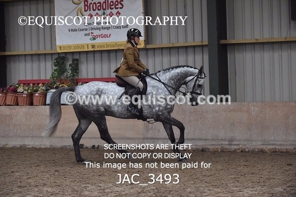 JAC_3493 - CLASS 9 BHS Scotland Riding Club Working Hunter Qualifier
