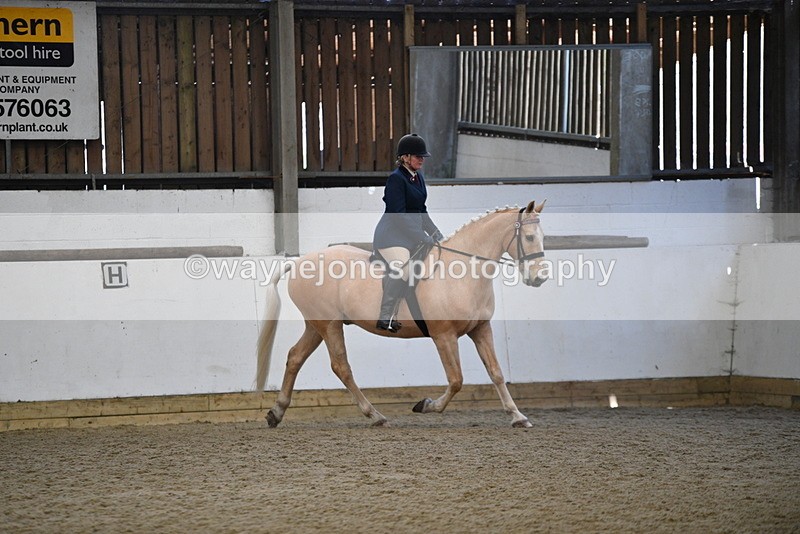 WJ5_5894 - Class 9 Ridden Veteran