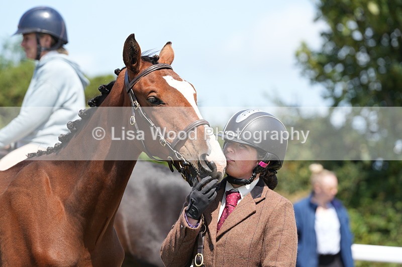 DSC06276 - Class 54: Hunter/Riding Horse/Hack 1 & 2 yr olds
