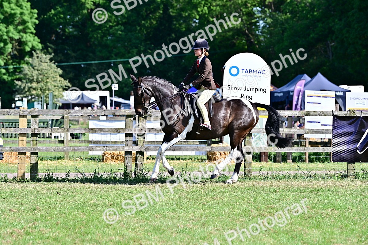 SBM_19525 - Class 101-102 - BSPS LIHS Performance Coloured Horse/Pony
