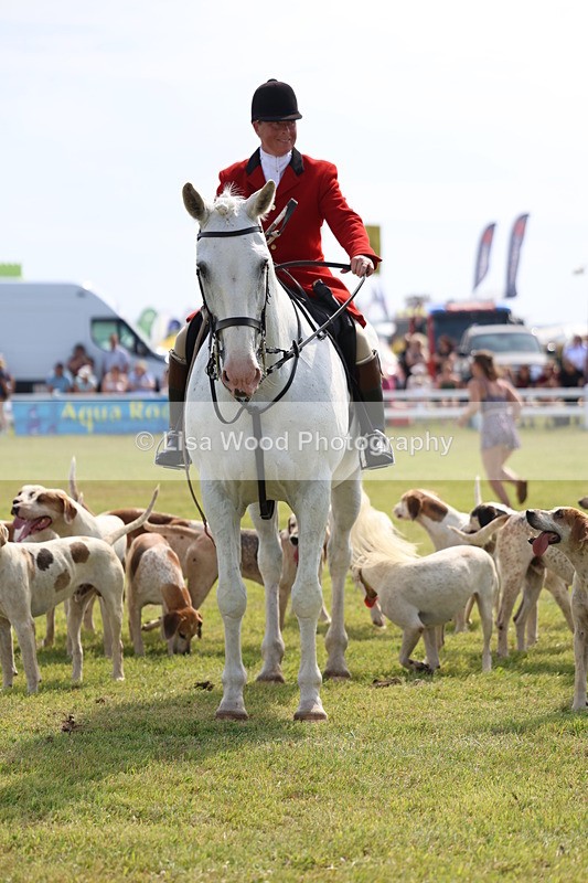 3E7A0192 - Parade of Hounds
