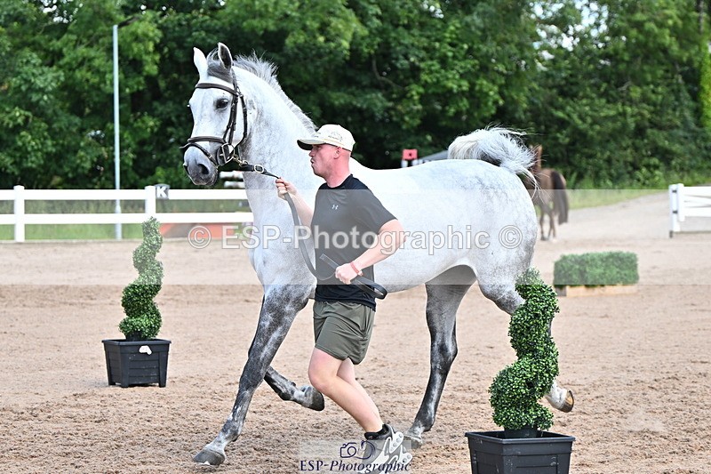 240718A-105254-01299 - Trot Up 12pm to 1pm