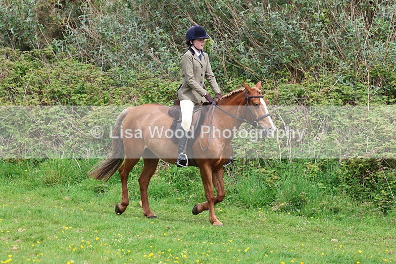 3E7A1688 - Class 9: Riding Club Horse/Pony