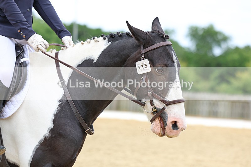 3E7A9331 - Class 2: Intro 1 2024 Section B